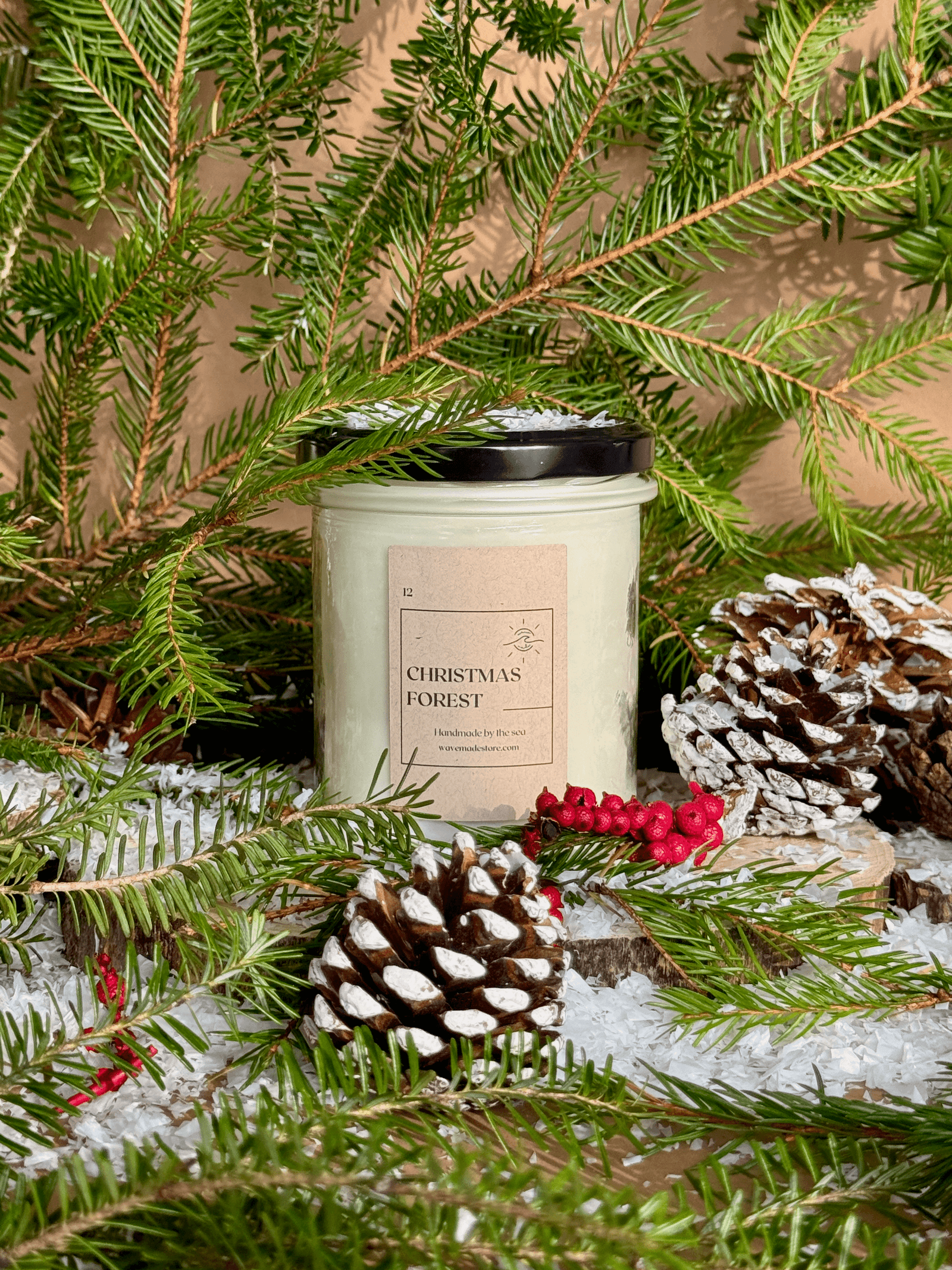 img_01JBAP0NG4B2AVSD8HDK4XQ46R