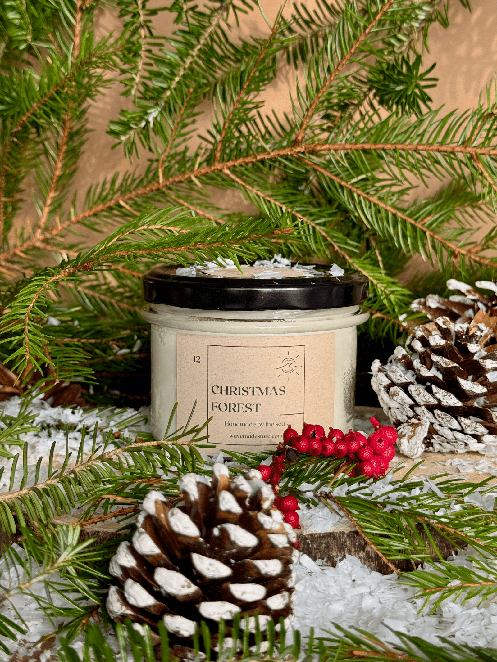 img_01JBAP0NG454PH23Y6YAK7W63K