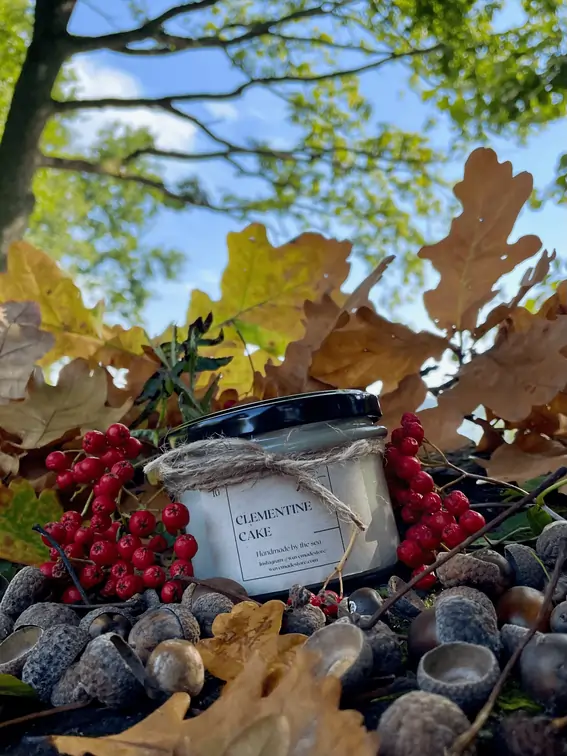 img_01J7ZP1SCAS8RM4M0XQ543YKCF