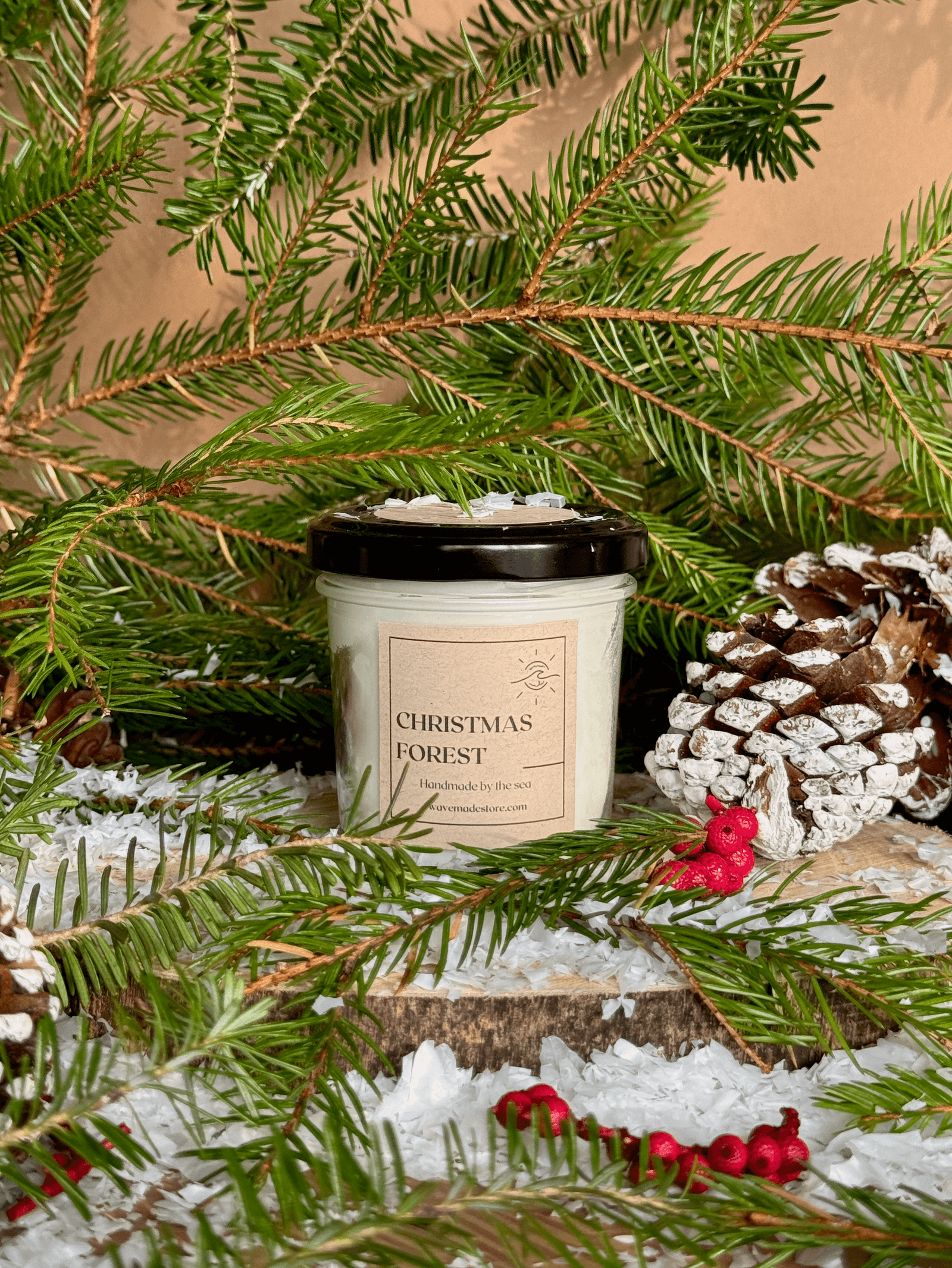 img_01JBAP0NG4E47GPE1ZK091F3Z5