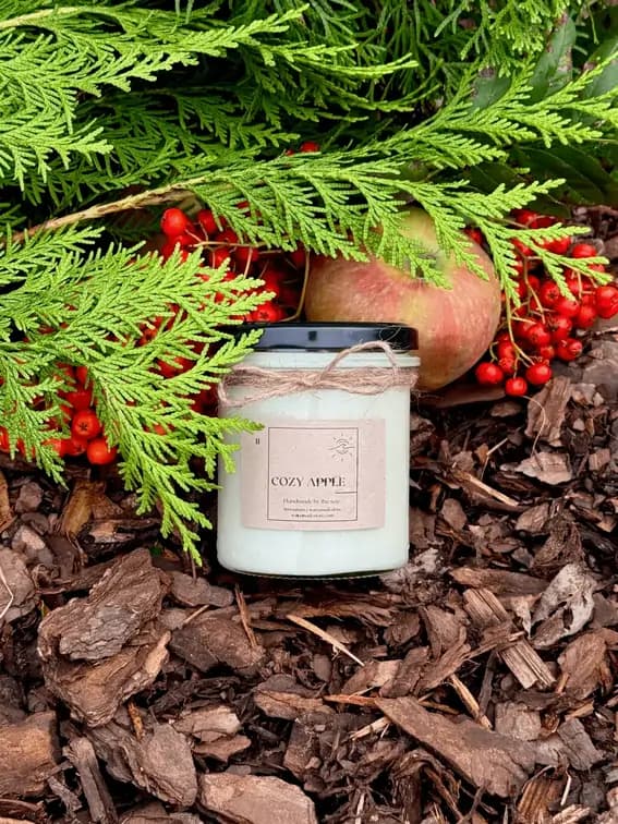 img_01J7ZP1CTBZMB6T2NC84RKQ8D0