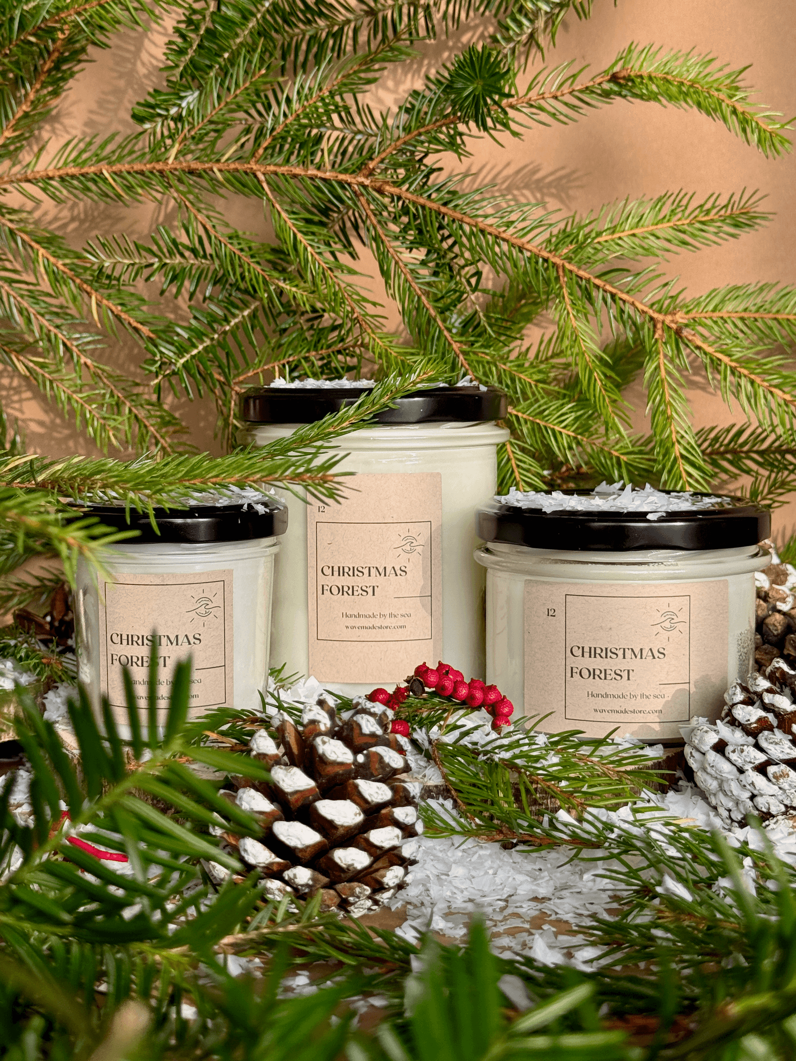 img_01JBAP0NG4XXBG21QCH2HTA0RY